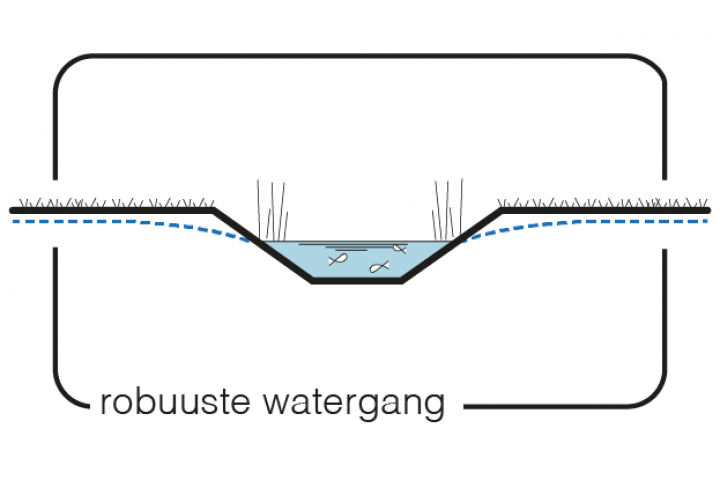 Maatregel 11 Robuuste watergang